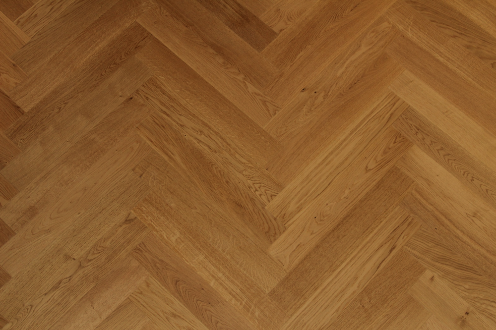 PHOTO-2026-01-27-14-03-50